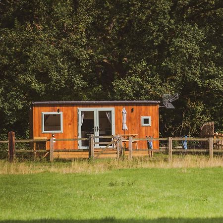 The Hideaway At Hiddenwood Glamping Hotel Corsley ภายนอก รูปภาพ